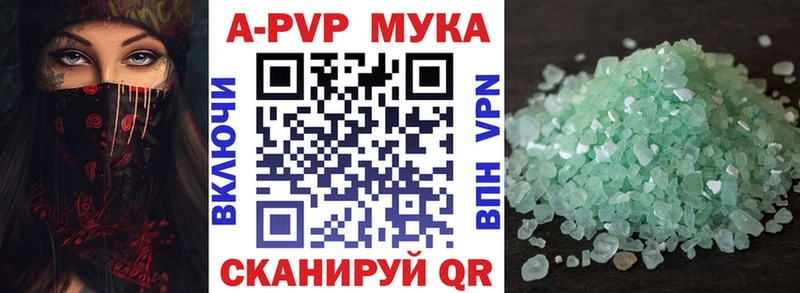 мега как войти  Майкоп  Alfa_PVP СК 