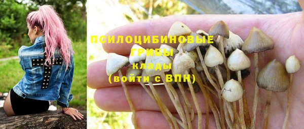 соль ск Аркадак