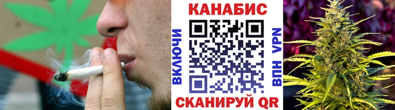 Конопля сатива дарнет шоп МЕГА tor Майкоп